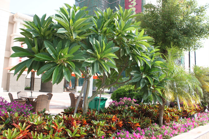 帝景湾小区内景布置